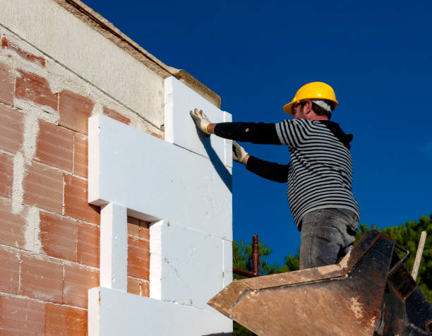 Best Insulation Maintenance and Repair in West Bishop, CA