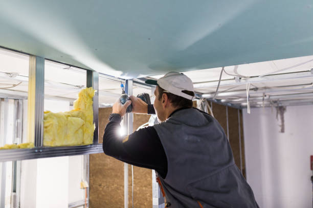 Best Insulation Installation Services in West Bishop, CA