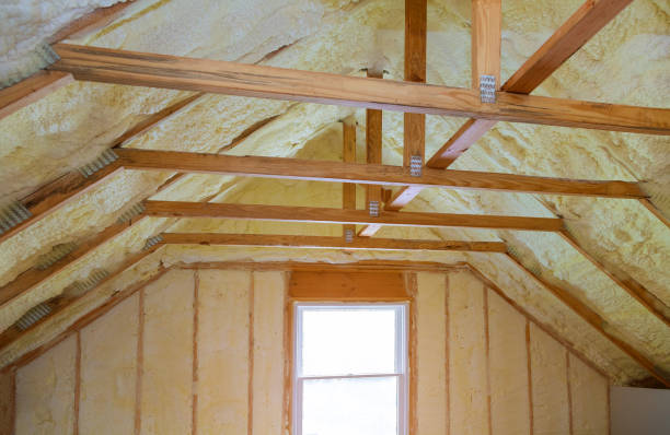 Best Types of Insulation in West Bishop, CA